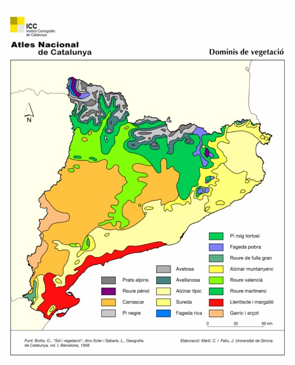 Distribució boscos de Catalunya pel mapa de l'Atlas de ICC